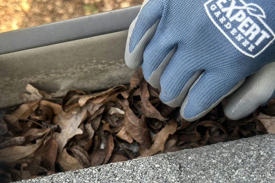 Gutter Cleaning Laurel Park