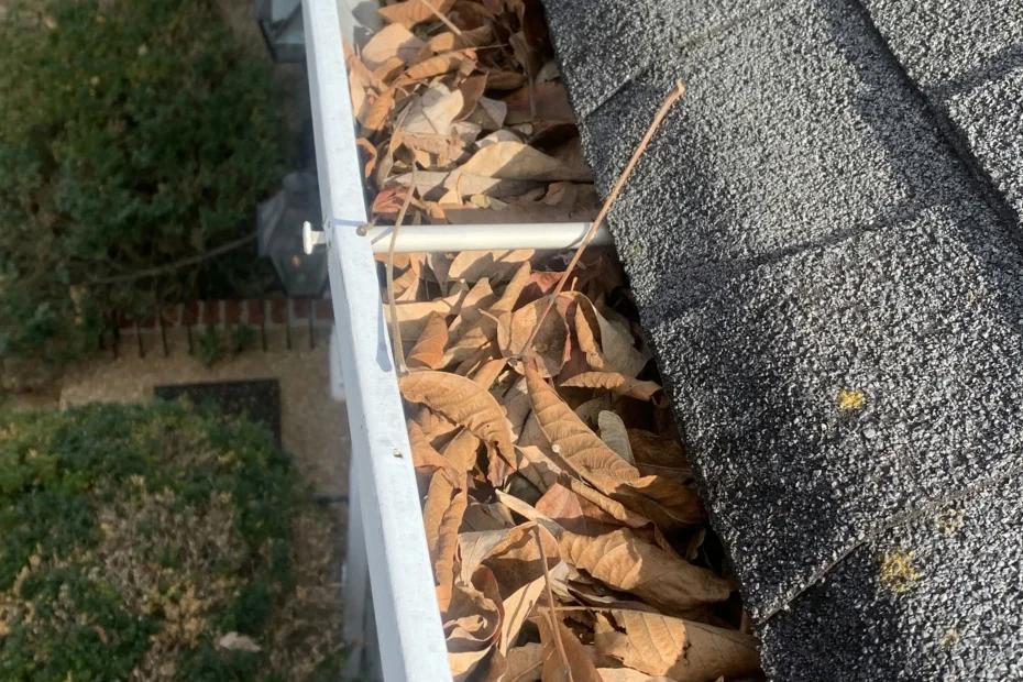 Gutter Cleaning Laurel Park