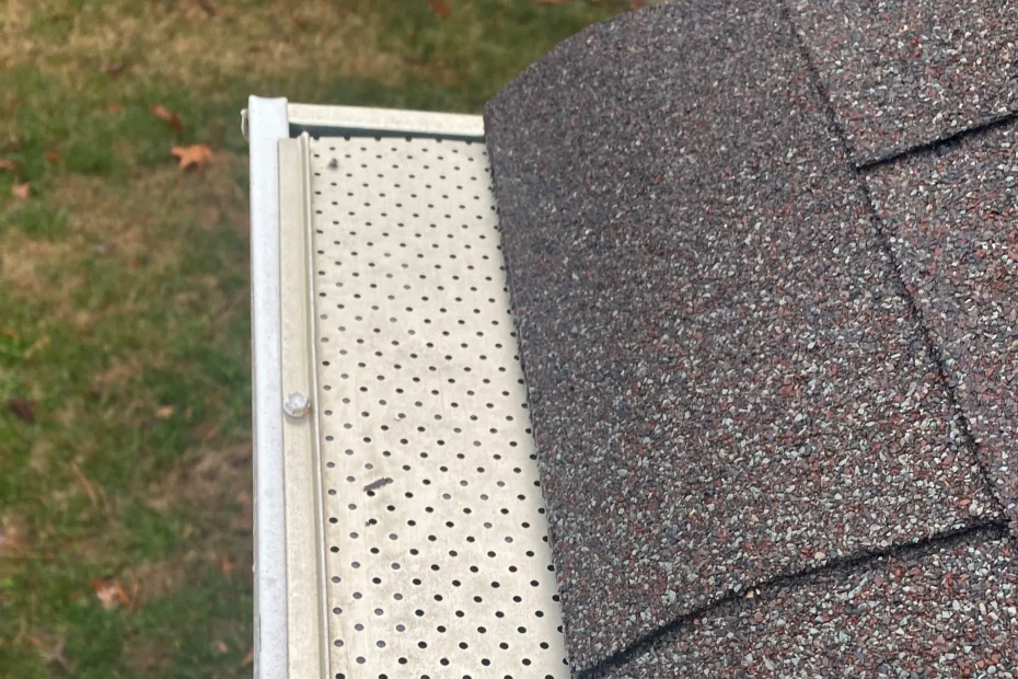 Gutter Cleaning Laurel Park