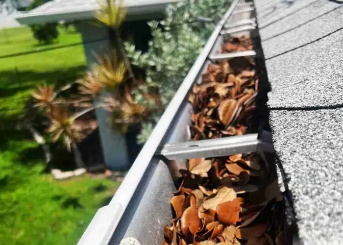 Gutter Cleaning Laurel Park home page